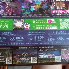 フェスタ・ルーチェ　割引券の画像