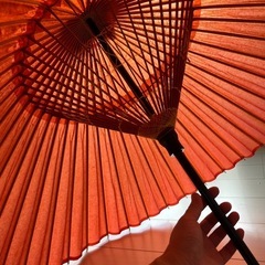 和傘の画像