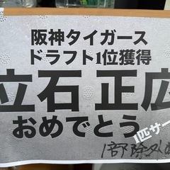 めだか メダカ  サービスディの画像