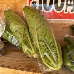 自家製　新鮮野菜の画像