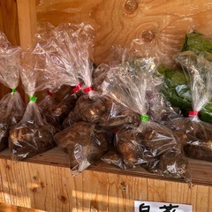 自家製　新鮮野菜の画像