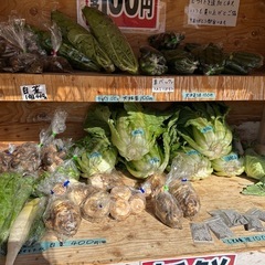 自家製　新鮮野菜の画像