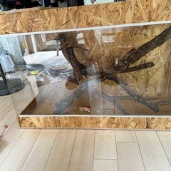爬虫類 飼育ケージ 90×35×6090×35×60 の画像