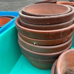 植木鉢　　差し上げます　無料の画像