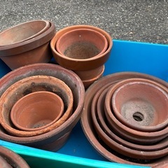 植木鉢　　差し上げます　無料の画像