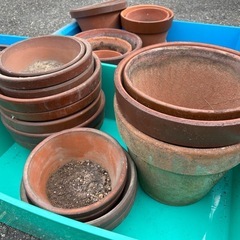 植木鉢　　差し上げます　無料の画像