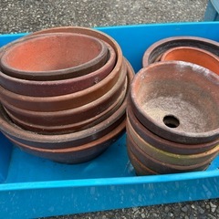 植木鉢　　差し上げます　無料の画像