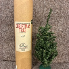 クリスマスツリーの画像