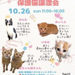 Cat 🐾Start（キャットスタート）💕🐱保護猫ふれあい…