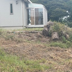 玉切・原木　売り
ます。の画像