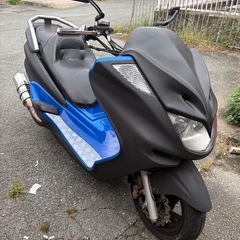 マジェスティー250の画像