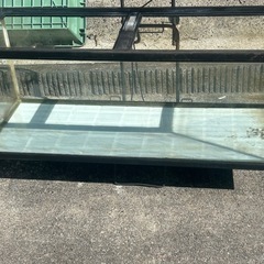 120センチ水槽の画像