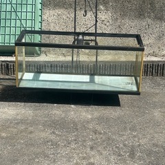 120センチ水槽の画像