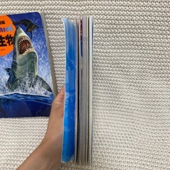 危険生物　サメ図鑑　2冊セットの画像