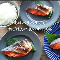 紅鮭切り落とし300g！２袋からお得に！！の画像