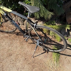 自転車TOTEMTOTEMの画像