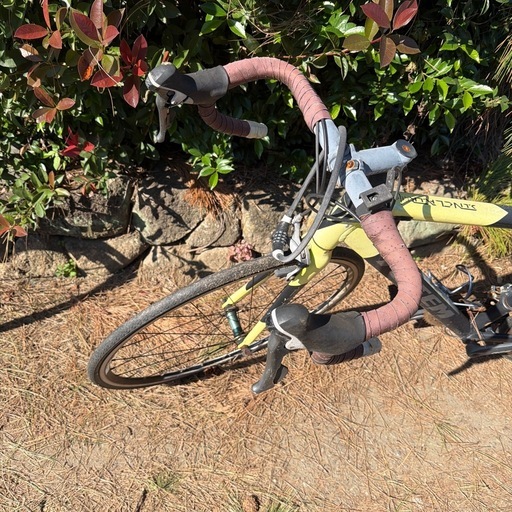 自転車TOTEMTOTEM