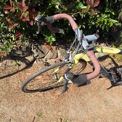 自転車TOTEMTOTEMの画像