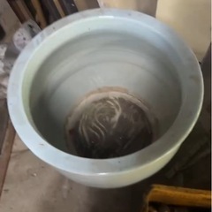 大きい　水ガメの画像