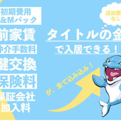 💖🎃10月24日新着物件！『初期費用はコミコミ5万円(税込)だけ』赤塚🐬2LDK🐬駐車場無料🐬K&M不動産🎃💖 - 賃貸（マンション/一戸建て）