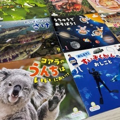 絵本の画像