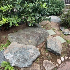【引取限定】庭石の画像