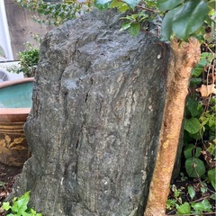 【引取限定】庭石の画像