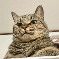 みんなのママ👩🏻まんまるお顔のつむぎちゃん