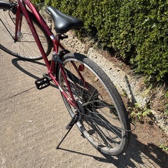 APASCH自転車の現状はOKの画像