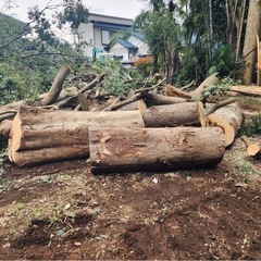 無料🆓薪などに使用可能🆓の画像