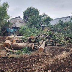 無料🆓薪などに使用可能🆓の画像