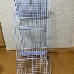 シャトルマルチ①の画像