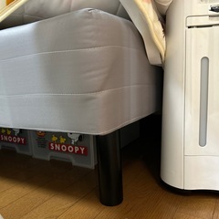 シングルベットの画像