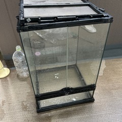 GEX 爬虫類ケース3045、ナノ　2個の画像