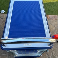 2キャスター段台車150kg 美品の画像