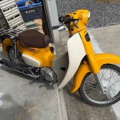 スーパーカブ即乗りの画像