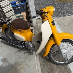 スーパーカブ即乗りの画像