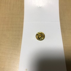 【未使用品】愛地球博トヨタ館ピンバッジの画像