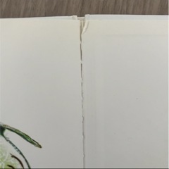 だるまさん シリーズ 絵本 のりものの画像