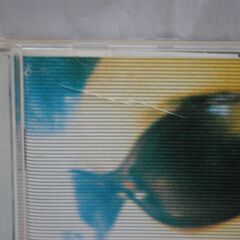 [1642] SION comes CD アルバム jpop 1998の画像