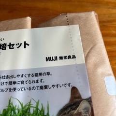 猫草の画像