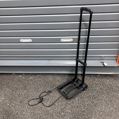 キャリーの画像