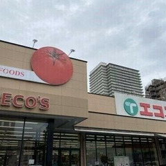 ✨敷金/礼金0円 ✨ 初期安物件💥保証人不要・ 金融ブラック・水...