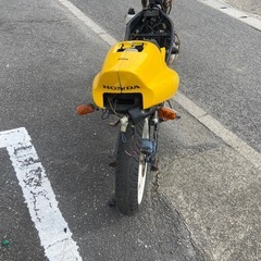 ns-1 ベースの画像