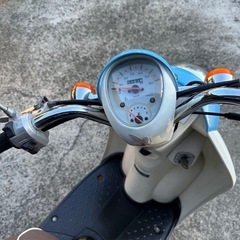 
スクーピーの画像