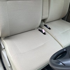 ステラ(最終値下げ)　¥200000→¥180000→¥150000の画像