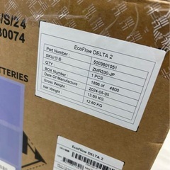 EcoFlow DELTA 2 & 160Wソーラーパネルセットの画像