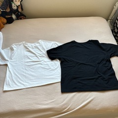 Ｔシャツの画像