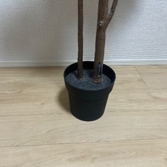 IKEA フェイクグリーン（ベンジャミン）の画像