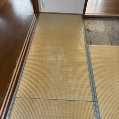畳　8枚の画像